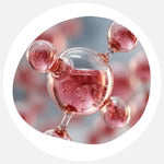Antimicrobial Herbal Treatment