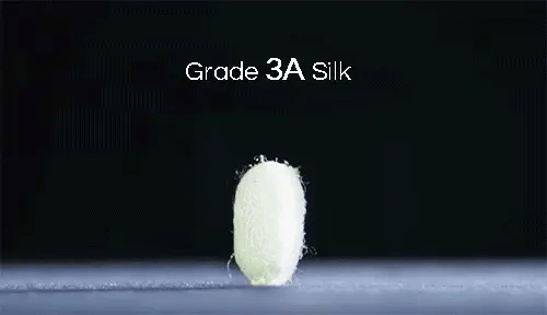 Application demo